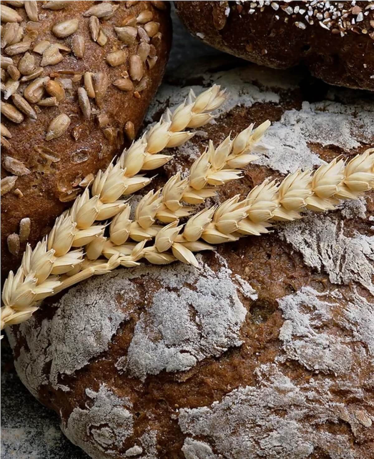Nahaufnahme von Vollkornbrot und einer Weizenähre